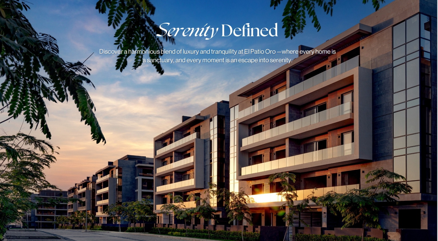 شعار المطور